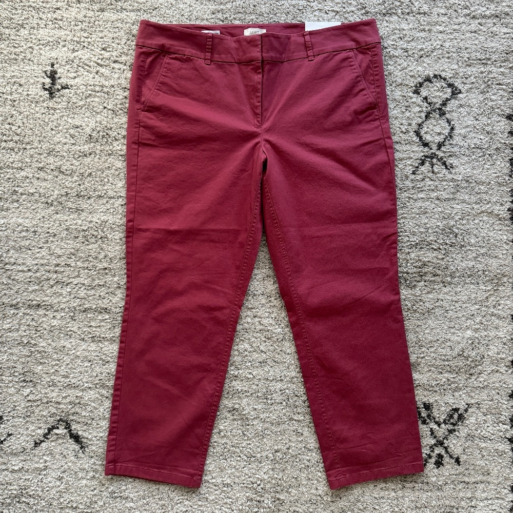 LOFT Women's Salmon Chino Pants